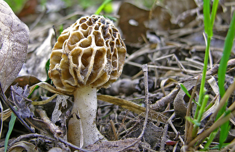 Ritrovamenti sabato 14 aprile.